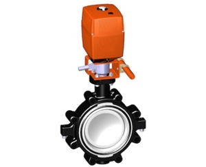 電動(dòng)蝶閥，24V 帶手動(dòng)手柄、+GF+電動(dòng)蝶閥 電動(dòng)塑料蝶閥